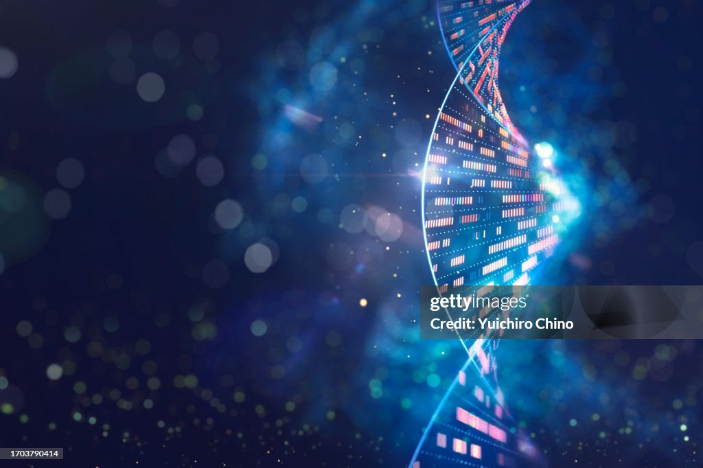Human genomic DNA molecular structure