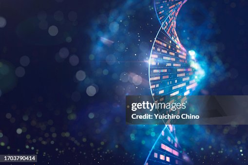 Human genomic DNA molecular structure Human genomic DNA molecular structure