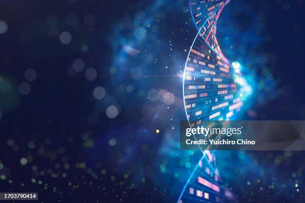 human genomic dna molecular structure - big data medical stock pictures, royalty-free photos & images