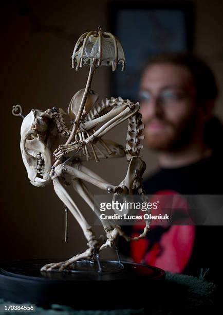 Ben Lovatt sells animal skulls and fossils from his Danforth house, including this creative rendition of a raccoon assembled by a local Toronto...