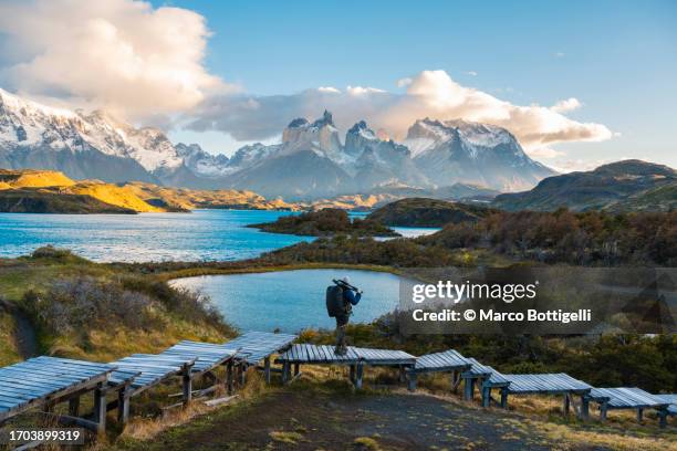 photographer admiring the view at torres del paine national park, chile - chile torres del paine stock pictures, royalty-free photos & images