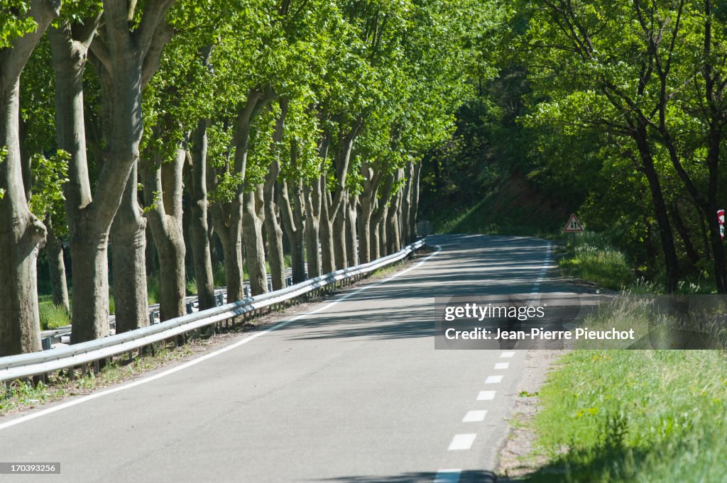 Country road, France