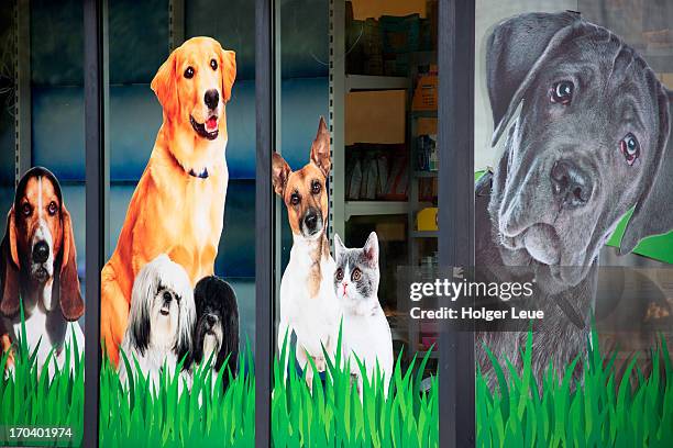 Dog Store Window Display 145 Pet Store Window Stock Photos, High-Res Pictures, and Images ...