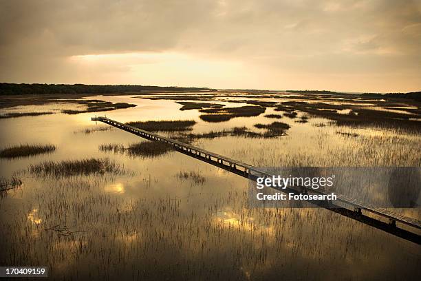 scenic wooden walkway stretching over wetlands at sunset on bald head island, north carolina - tidal marsh stock pictures, royalty-free photos & images