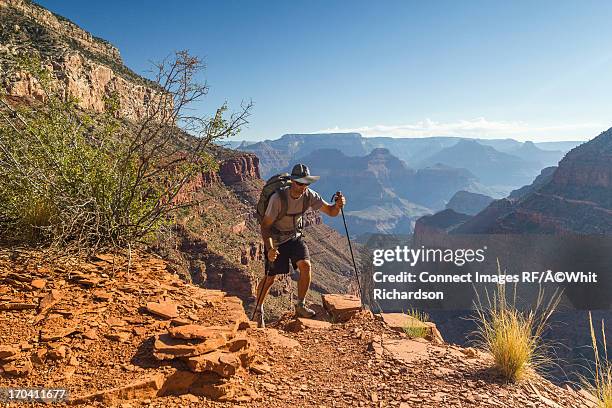man hiking trail in grand canyon - arizona hiking trail stock pictures, royalty-free photos & images