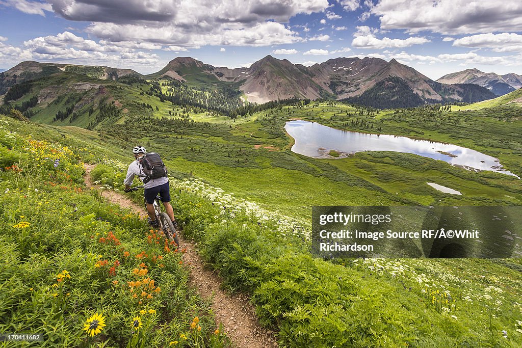 Mountain biker on green trail