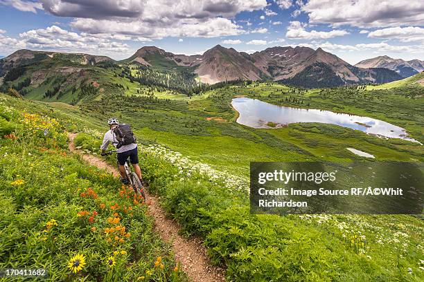 mountain biker on green trail - bike flowers stock-fotos und bilder