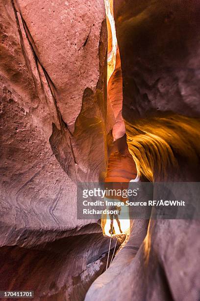 climber canyoning in neon canyon - canyoneering stock pictures, royalty-free photos & images