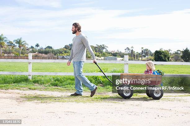 father pulling son in wagon - vagón fotografías e imágenes de stock