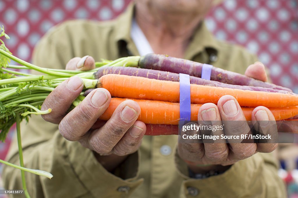 Man holding carrots outdoors