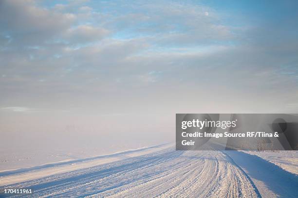 tire tracks in snowy rural road - somero photos et images de collection