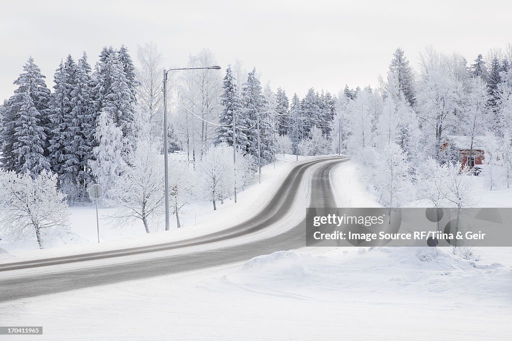 Tire tracks in snowy rural road
