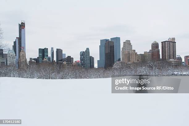 city skyline and snowy urban park - new york city snow stock pictures, royalty-free photos & images