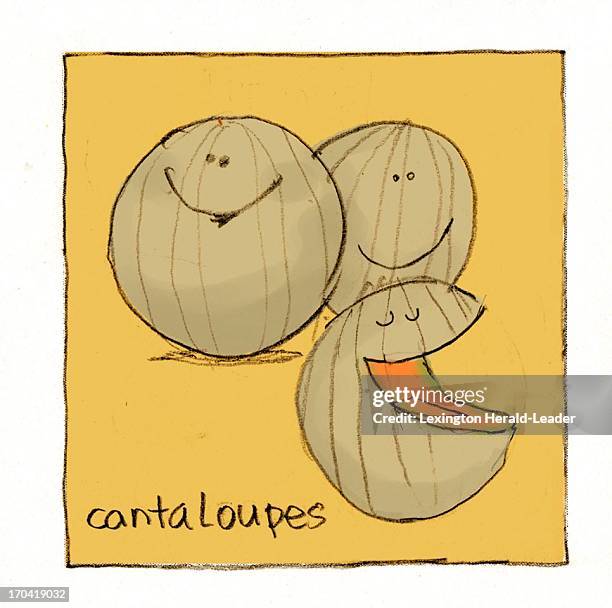 Dpi Chris Ware illustration of cantaloupes.