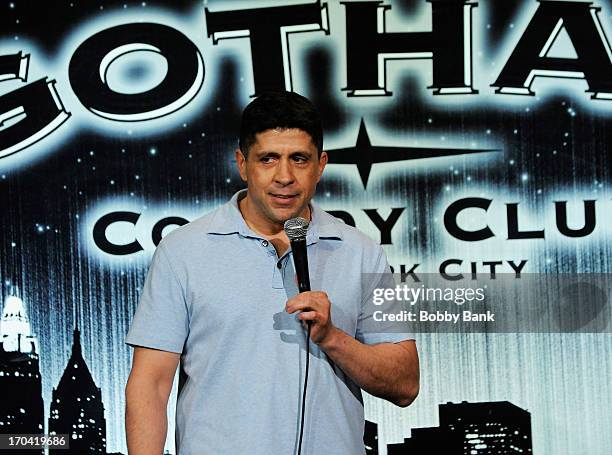 Steve Alevea attends Laughter Saves Lives Comedy Night to Benefit The Tribute 9/11 Visitor Center at Gotham Comedy Club on June 12, 2013 in New York...