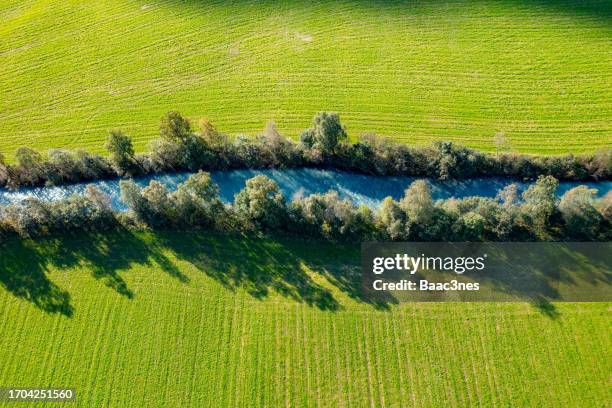 river seen from above - olden foto e immagini stock