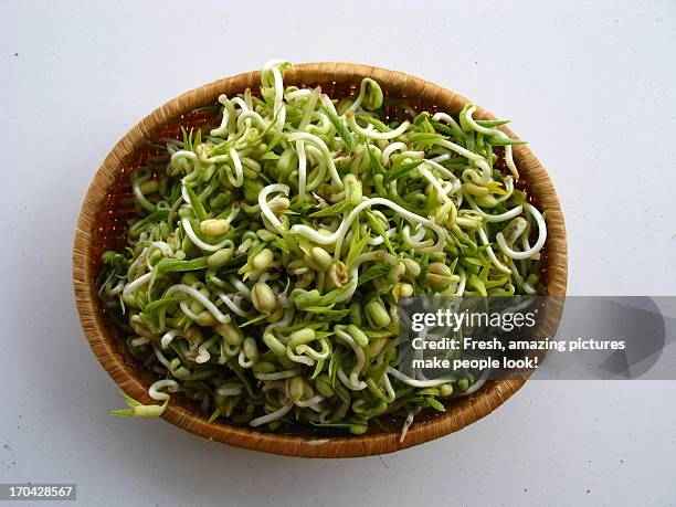 fresh soy bean sprouts in wicker basket - bean sprout stock-fotos und bilder