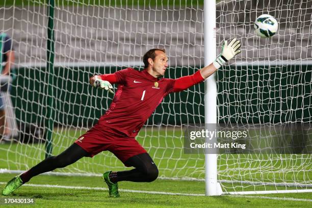 Mark Schwarzer practises goalkeeping during an Australian Socceroos training session at WIN Jubilee Stadium on June 13, 2013 in Sydney, Australia.