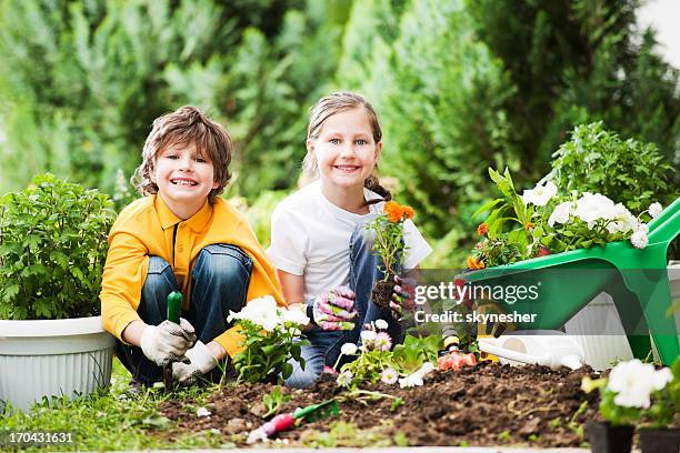 children gardening. - annuals stock pictures, royalty-free photos & images