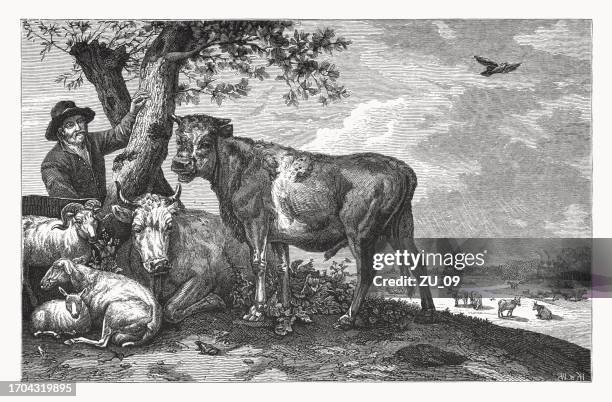 the bull, painted by paulus potter, wood engraving, published 1878 - paulus potter stock illustrations