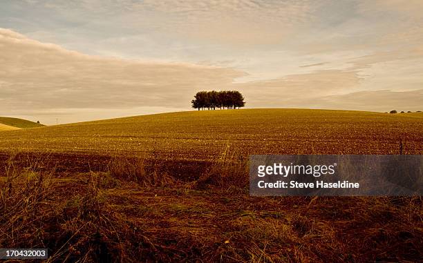 lincolnshire wolds - lincolnshire stock pictures, royalty-free photos & images