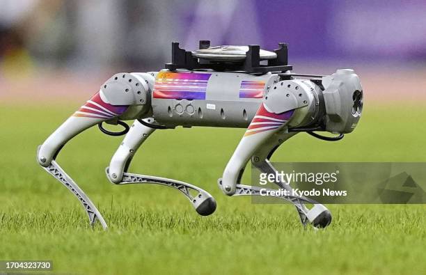 Discus-carrying four-legged robot operates during discus-throwing competitions at the Asian Games at an athletic field in Hangzhou, China, on Oct. 1,...