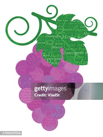 Grape Red Wine Grapevine Abstract Collage Vector Grape Red Wine Grapevine Abstract Collage Vector