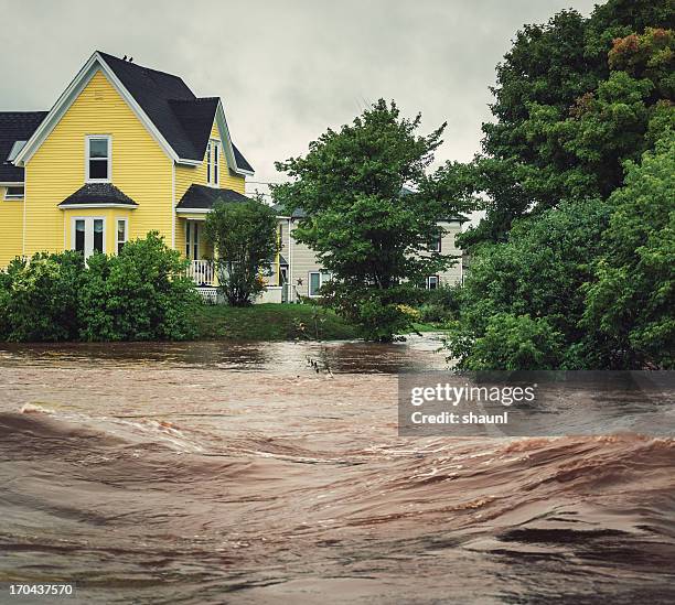 raging river - flooded home stock pictures, royalty-free photos & images