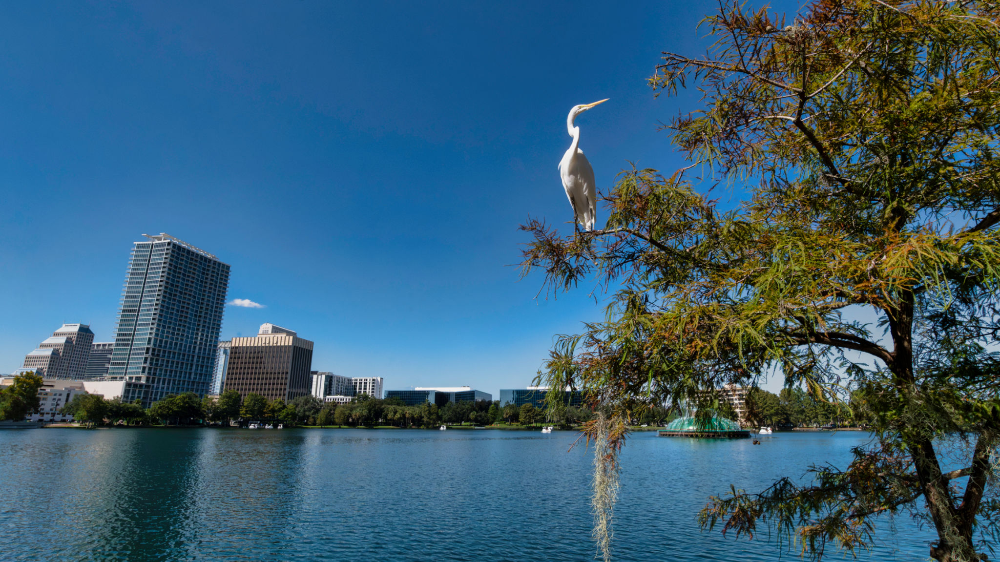 orlando art gallery