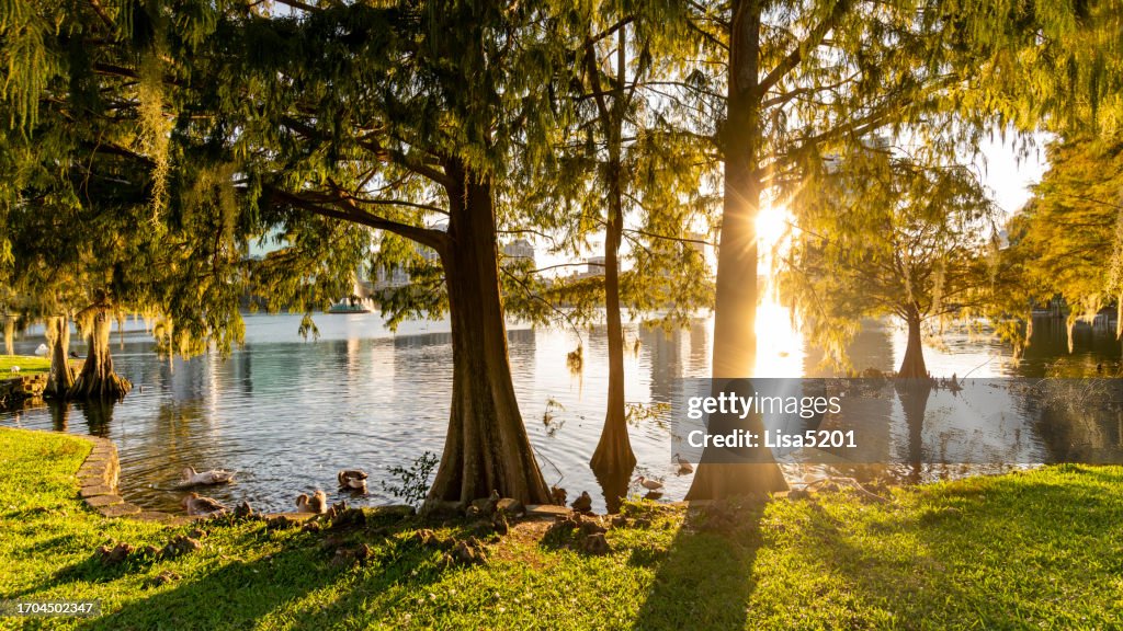 Scenic Lake Eola Park in downtown Orlando Florida