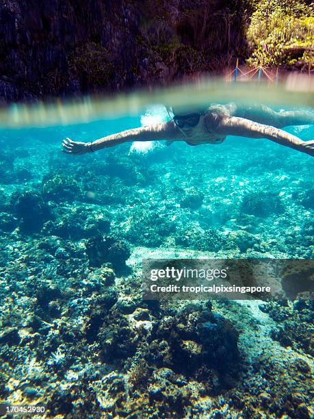the philippines, palawan province, el nido, coral reef. - el nido stockfoto's en -beelden