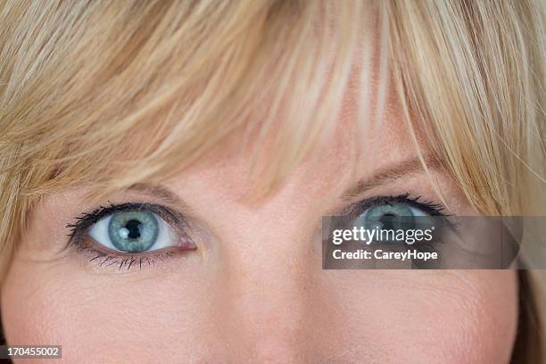 close up of eyes - head forward white background stock pictures, royalty-free photos & images