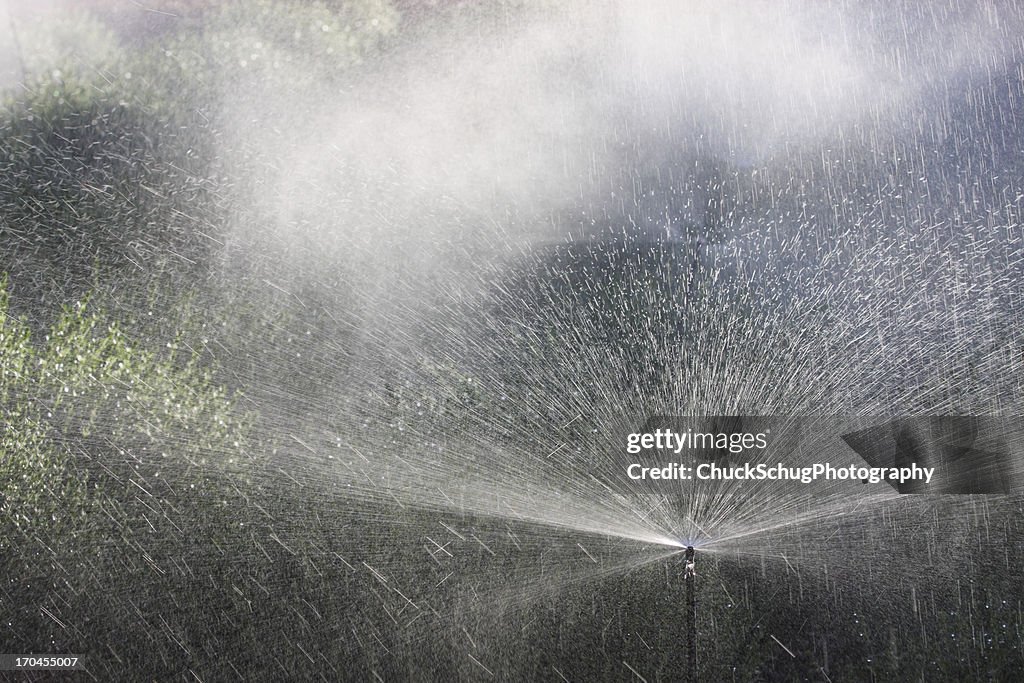 Sistema de irrigação Jardim pulverizador de irrigação