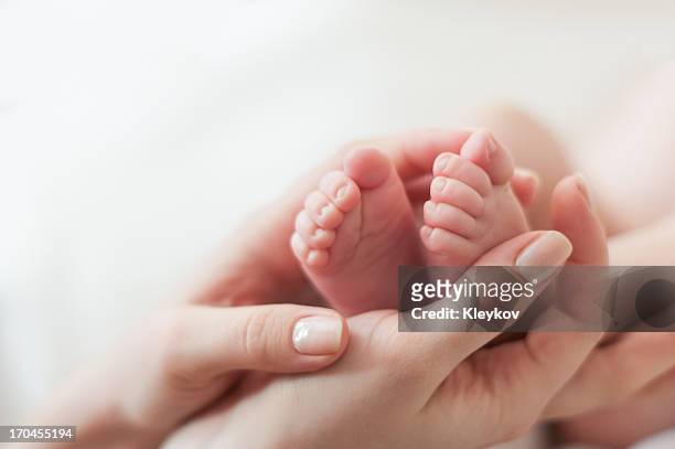 baby's feet - baby stock pictures, royalty-free photos & images