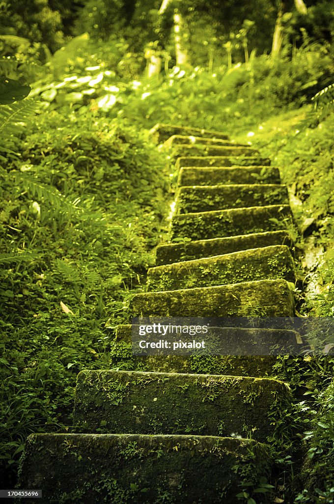 Vert escalier