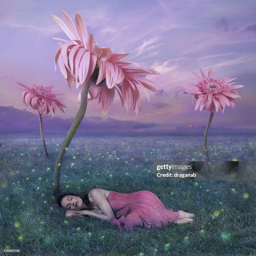 Art Poster Sleeping in nature