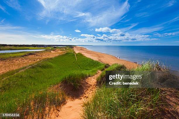 prince edward island, canada - sand dune stock pictures, royalty-free photos & images