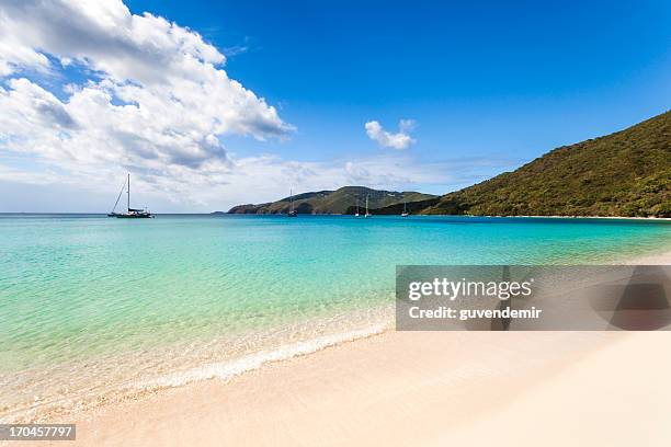 praia das caraíbas - saint martin caraíbas imagens e fotografias de stock