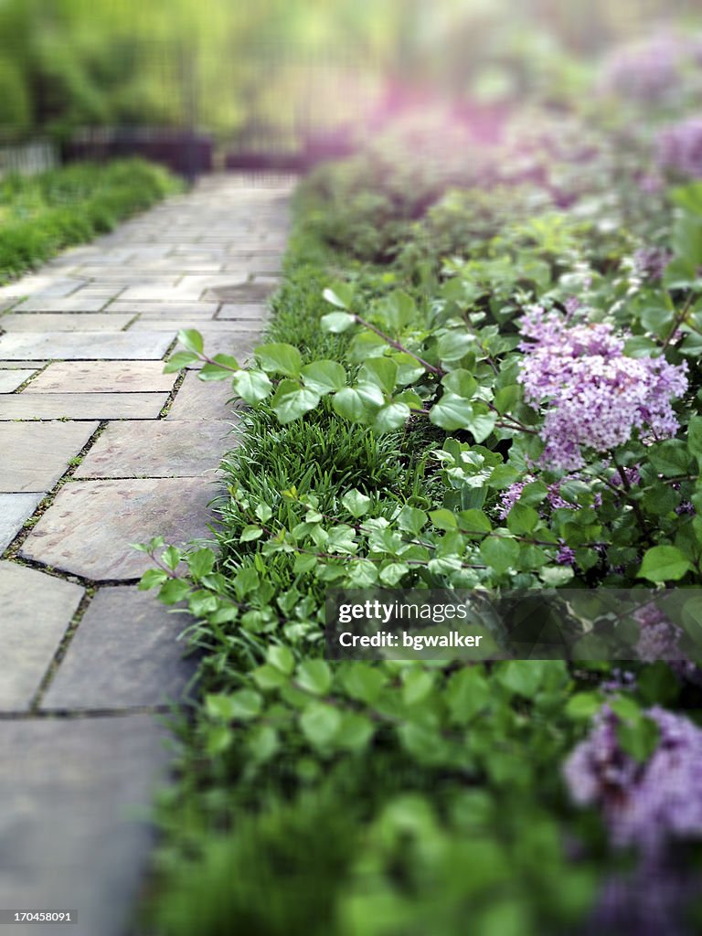 Secret Garden