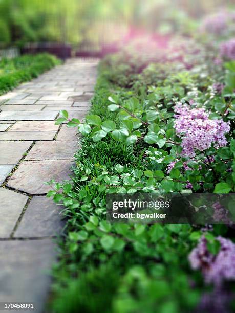 secret garden - garden wall stock pictures, royalty-free photos & images