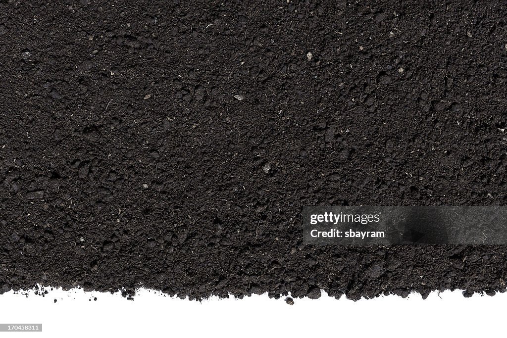 Humus Soil Background