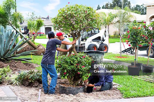 landscaing a front yard - landscape architect stock pictures, royalty-free photos & images