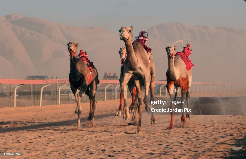 Camel Races Designs Remotely operated jockeys are used on the back of the camels during ...