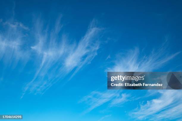 cirrus clouds with a blue sky. - altostratus stock-fotos und bilder