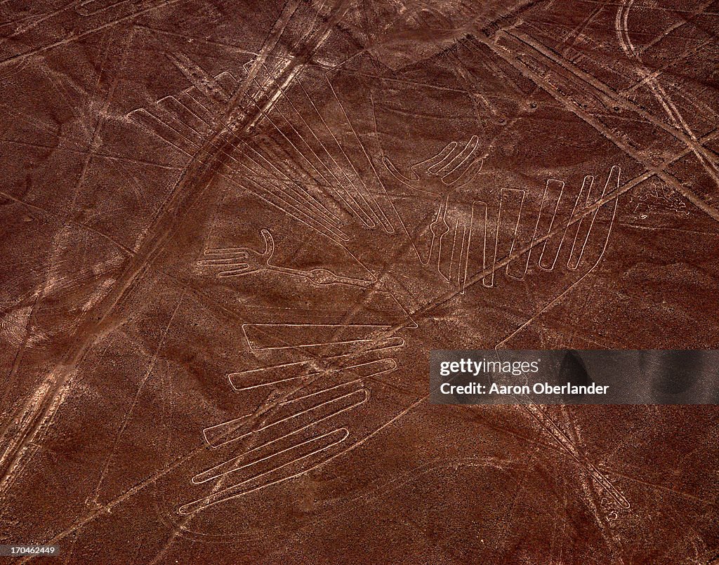Nazca Condor High-Res Stock Photo - Getty Images