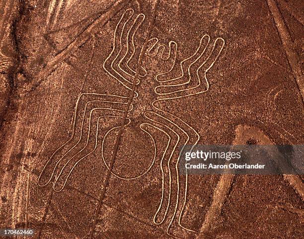 236点のナスカの地上絵のストックフォト Getty Images