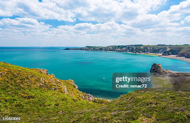 coast in britanny, france - manche stockfoto's en -beelden