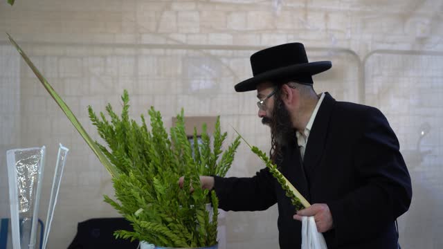 ISR: Jews Prepare For Sukkoth Holiday In Jerusalem