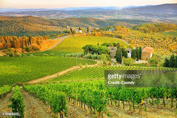 vineyard sunset landscape from tuscany - san gimignano stock pictures, royalty-free photos & images