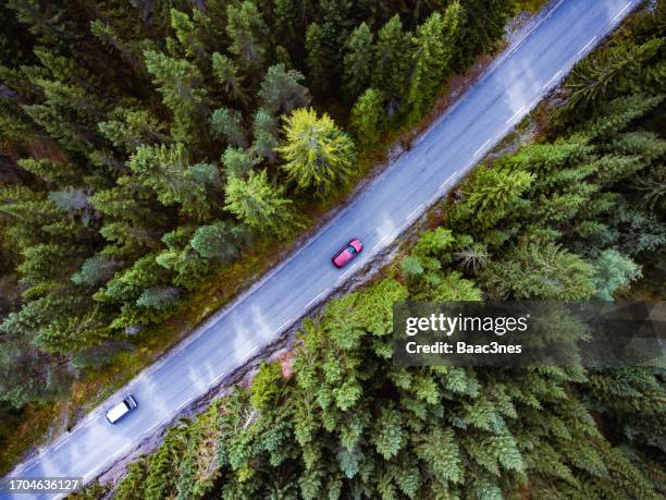 cars driving on a country road in norway - norway spruce stock pictures, royalty-free photos & images